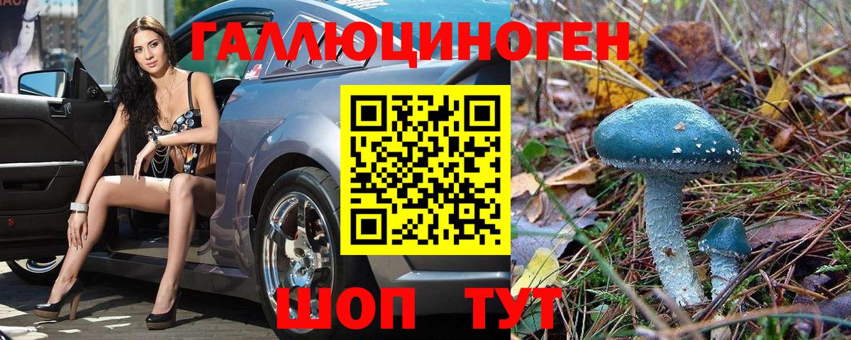 Галлюциногенные грибы Psilocybe Усинск
